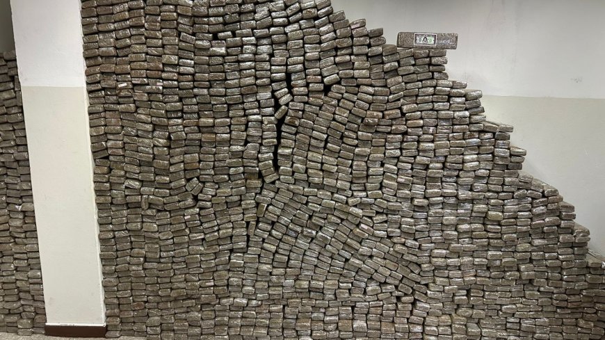 Polícia apreende duas toneladas de maconha em MG